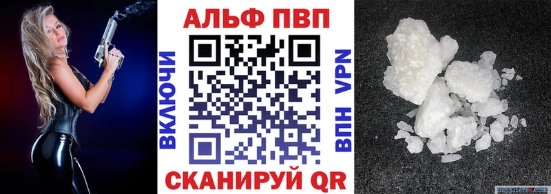 omg ссылка  Гаджиево  Альфа ПВП СК 