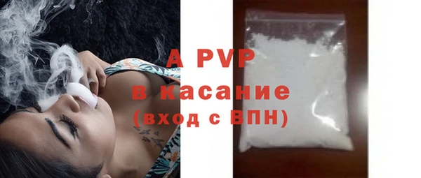 шишки Медвежьегорск