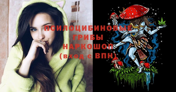 шишки Медвежьегорск